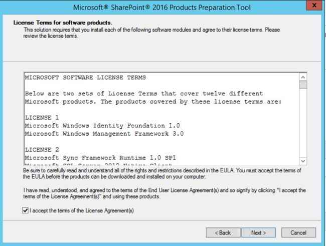 Accept the License Agreement to continue installation